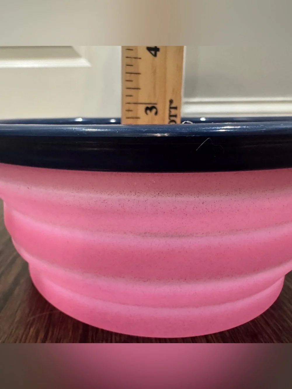 Dabney Lee Collapsible Travel Pet Bowl With Clip